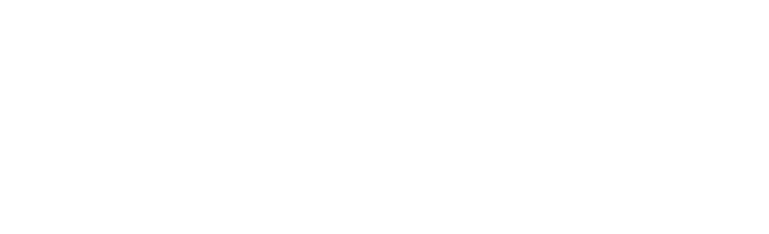 Israel Guide Dog Puppies